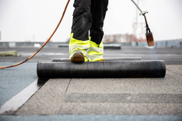 Best Roof Insulation Installation  in La Grange, IL