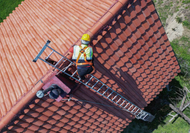 Best Green or Eco-Friendly Roofing Solutions  in La Grange, IL