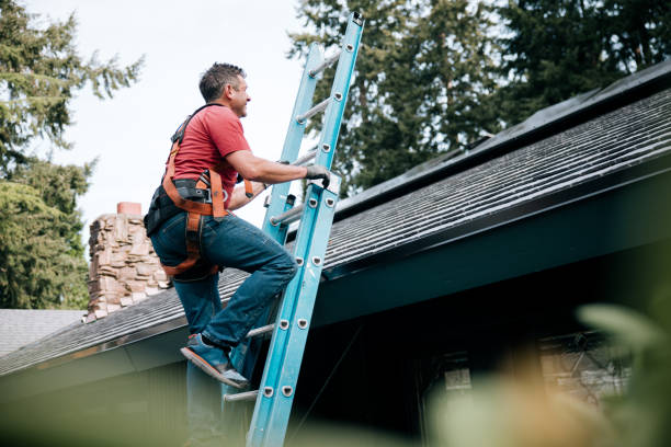 Asphalt Shingles Roofing in La Grange, IL