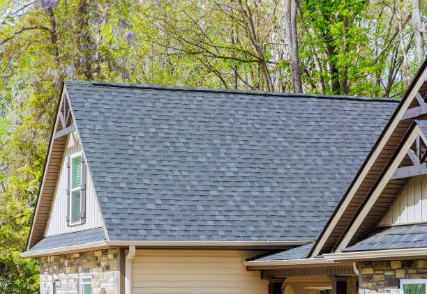 Best Chimney Flashing Repair  in La Grange, IL