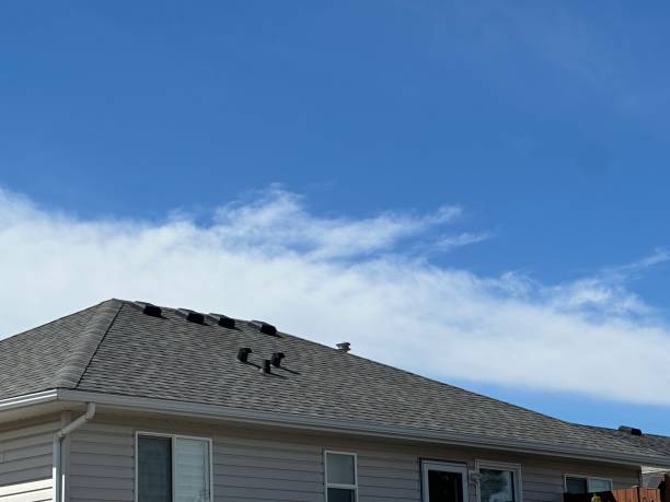 Best Sheet Metal Roofing  in La Grange, IL